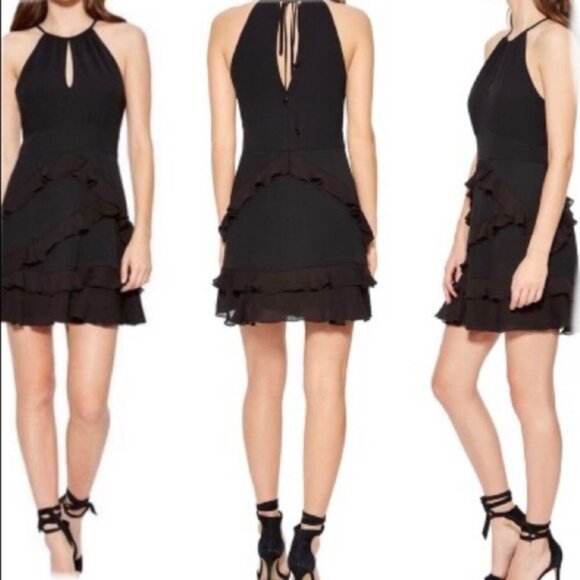 New Parker Phoenix Black Fit Flare Sleeveless Ruffled Mini Dress 4 - Picture 1 of 8